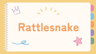 Rattlesnake