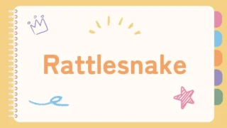 Rattlesnake